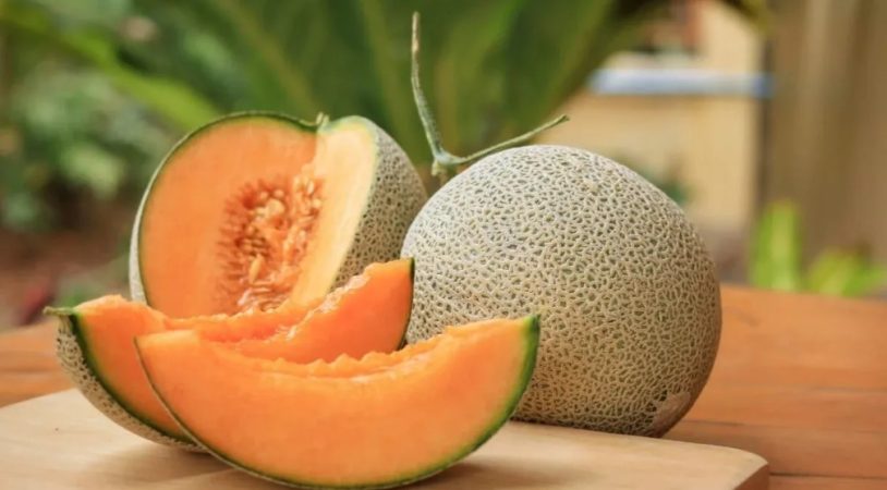 Necesitas conservar el melón adecuadamente