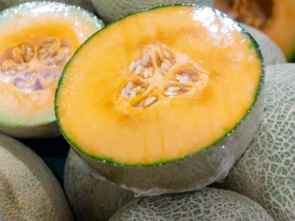 Congelarlo no parece ser la mejor opción