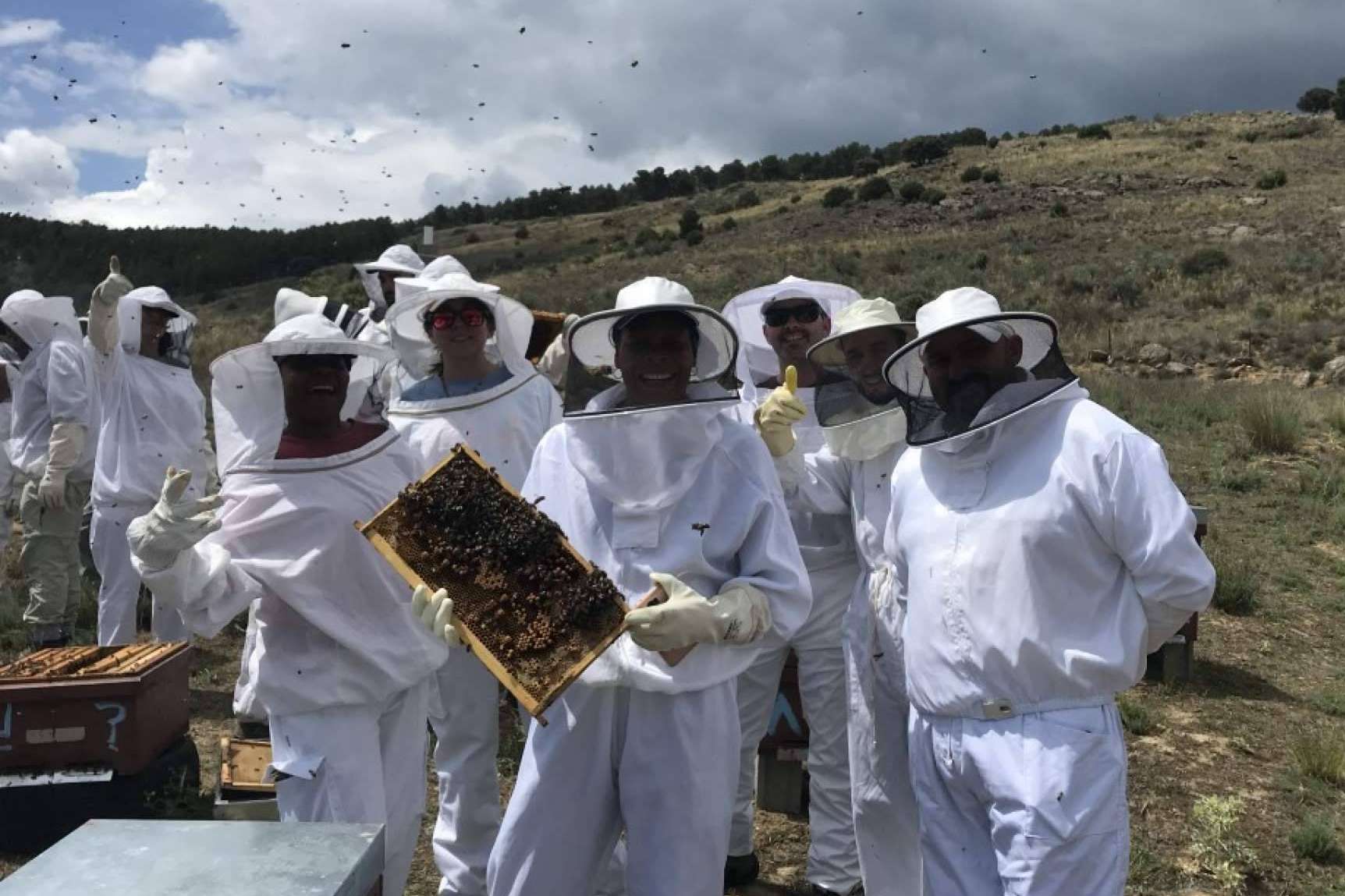 Aprovechar este verano adquiriendo nuevos conocimientos, apicultura