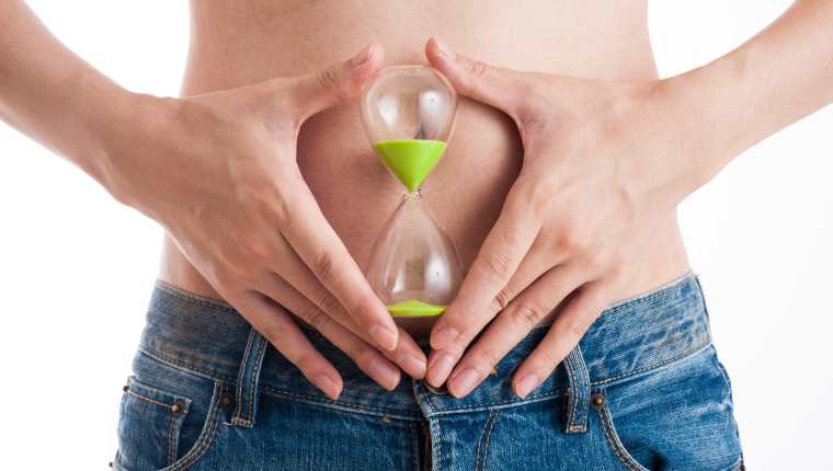metabolismo
