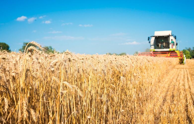 La innovación y las mejoras genéticas se convierten en ejes básicos de la financiación para reconvertir el sector agroalimentario ante la sequía