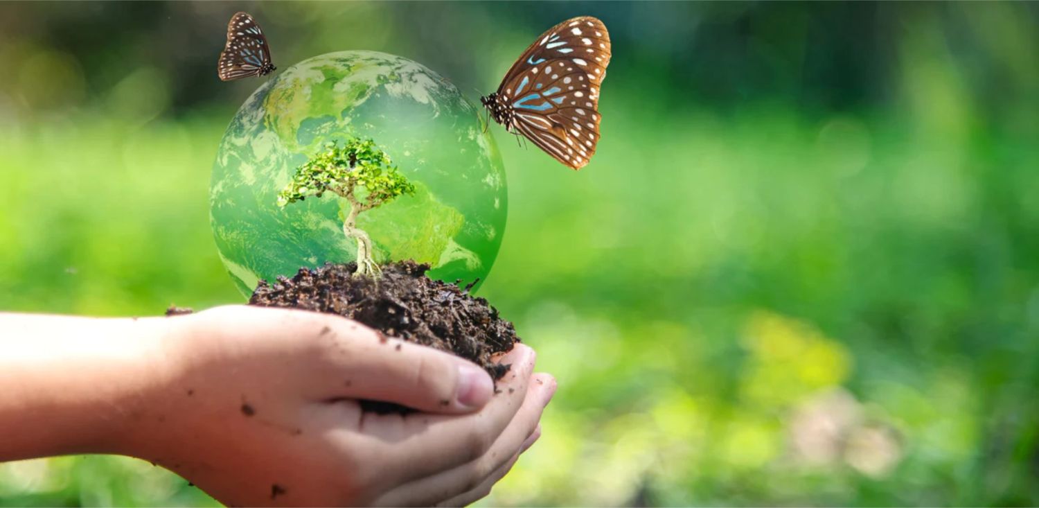 Biodiversidad: cómo proteger los ecosistemas en peligro de extinción