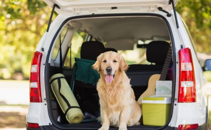 Hay que ser cautos y estar atentos