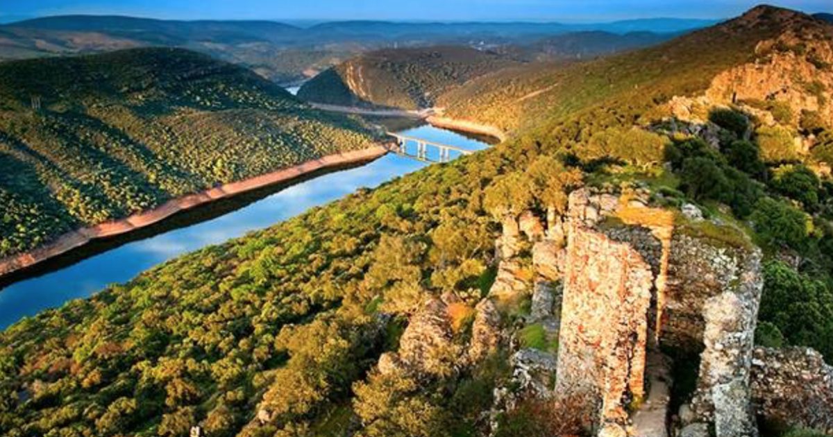 Descubre la ruta del Toro y la Dehesa de Monfragüe