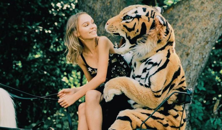 Ejemplo de transespecie