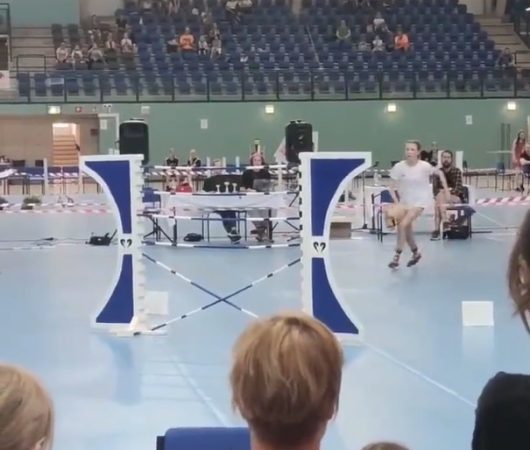 Equitacion vegana 2 Merca2.es