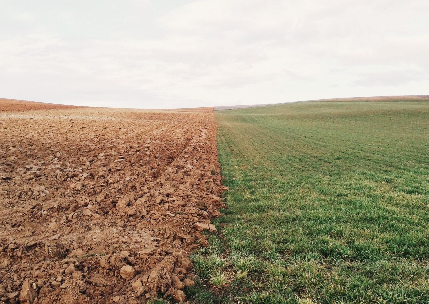 Erosión del suelo: 8 formas de evitar el daño para una agricultura sostenible