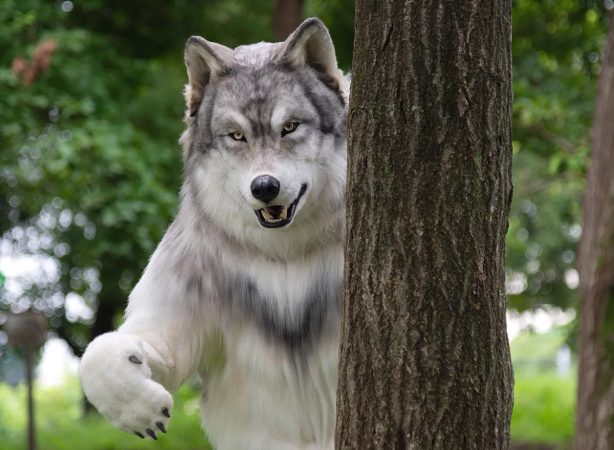 Hombre transespecie con disfraz de lobo Merca2.es