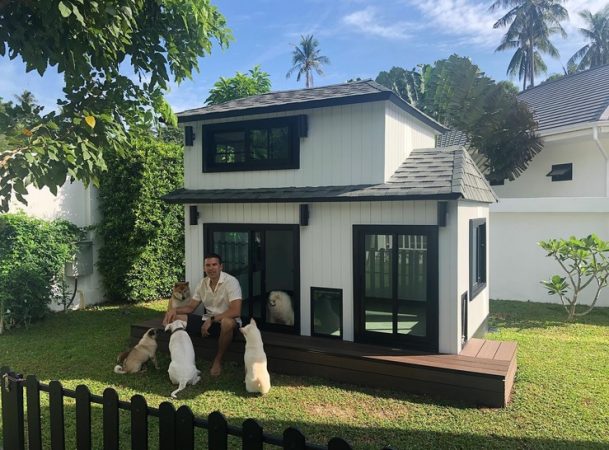 Mascotas VIPS Robbie Timmers perros 1 2 Merca2.es