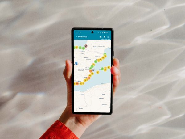 Veranea con más tranquilidad gracias a 'MedusApp', el Google Maps anti medusas 29 Merca2.es Las medusas, un temor que MedusApp puede hacer desaparecer