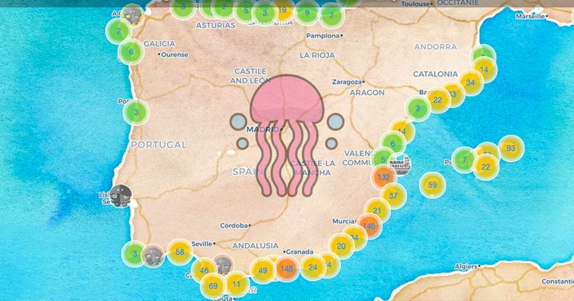 Veranea con más tranquilidad gracias a 'MedusApp', el Google Maps anti medusas 32 Merca2.es Además, es gratuita