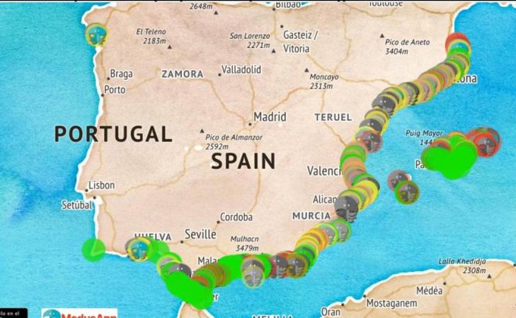 Veranea con más tranquilidad gracias a 'MedusApp', el Google Maps anti medusas 33 Merca2.es Un mapa para saber dónde están las medusas