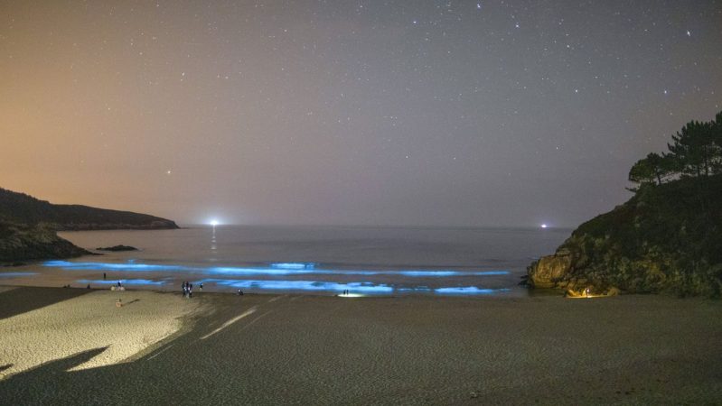 Playa de Rebordelos Merca2.es