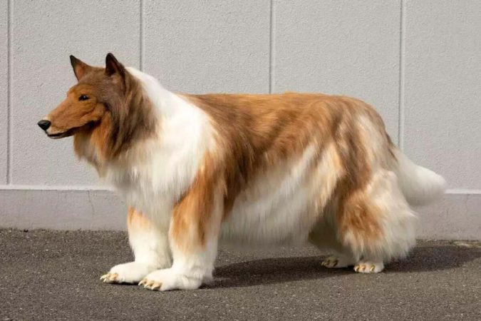 Toco con su disfraz de perro Merca2.es