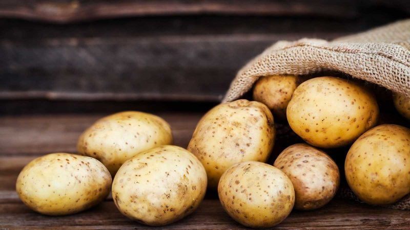 Patatas