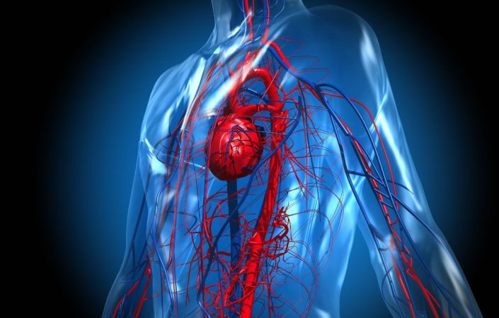 Estímulo de la circulación sanguínea