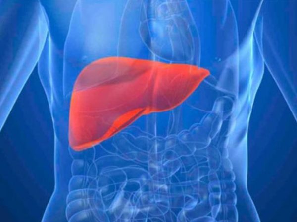 Hidratarse también cuenta