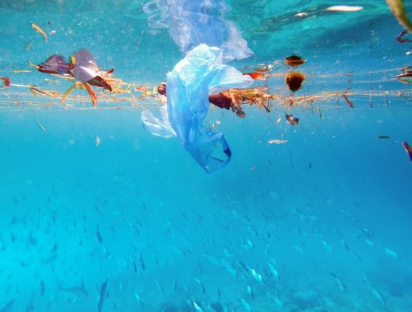 plastico sostenibilidad 1 Merca2.es