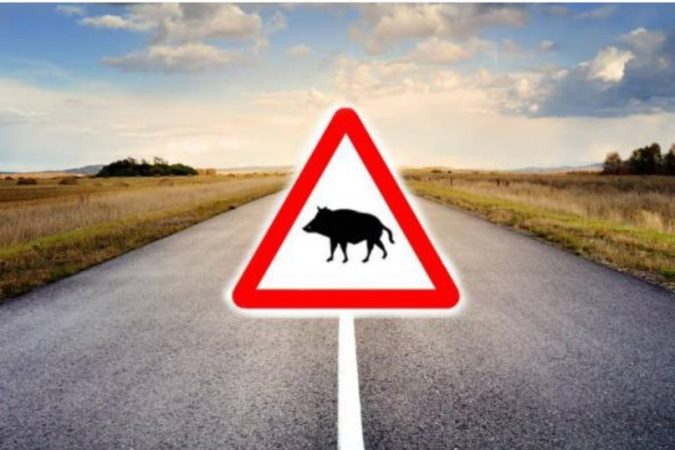 screenshot neomotor.epe .es 2023.08.04 20 23 31 Merca2.es