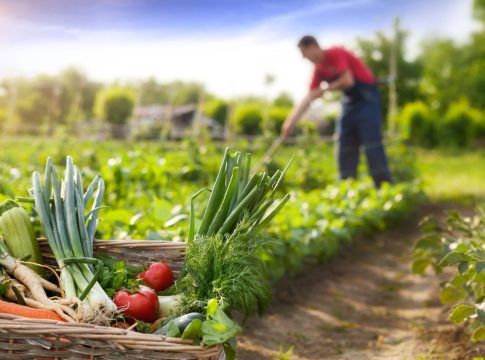 Agricultura-sostenible-8-1