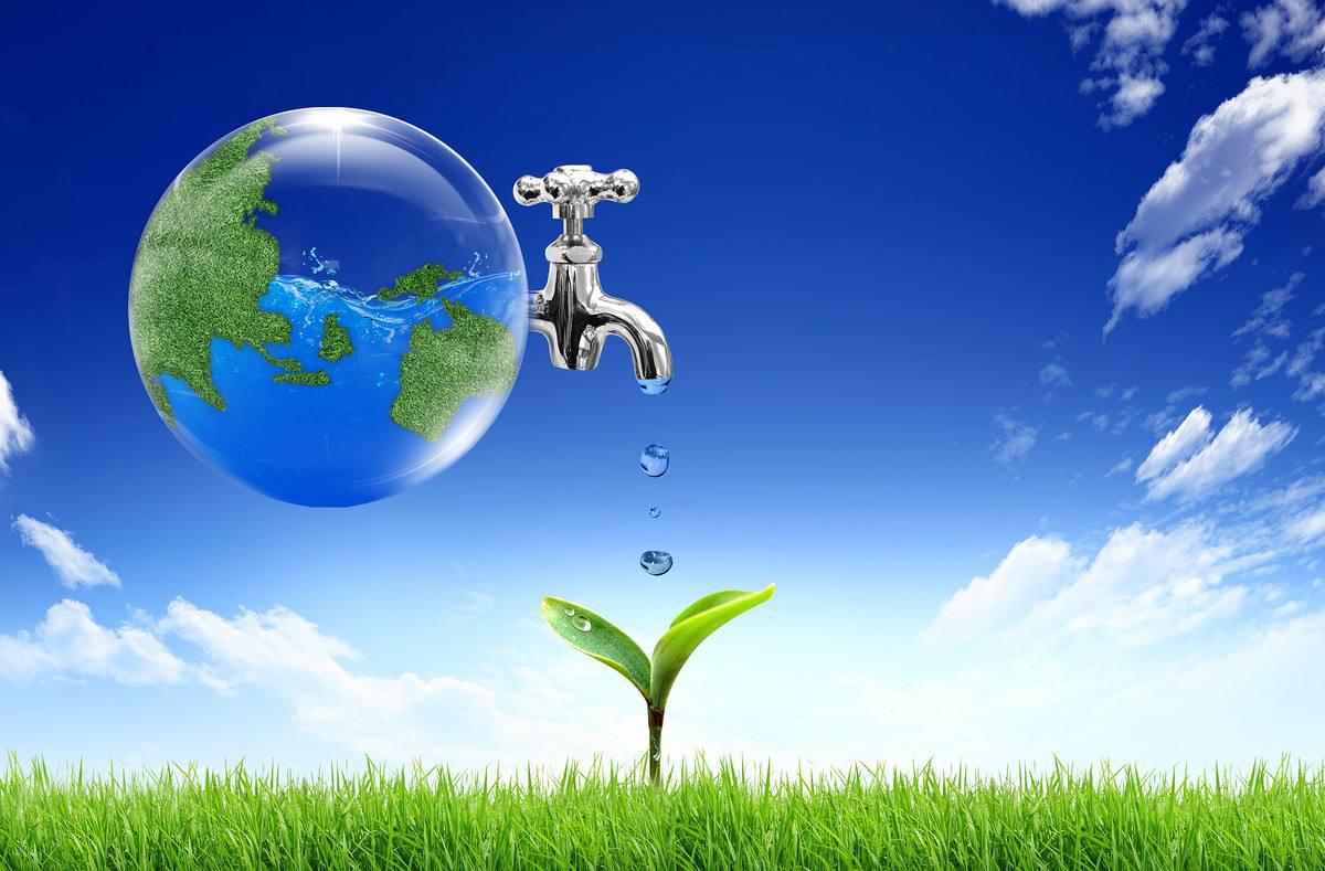 Agua dulce: 6 estrategias para proteger y conservar nuestros recursos hídricos