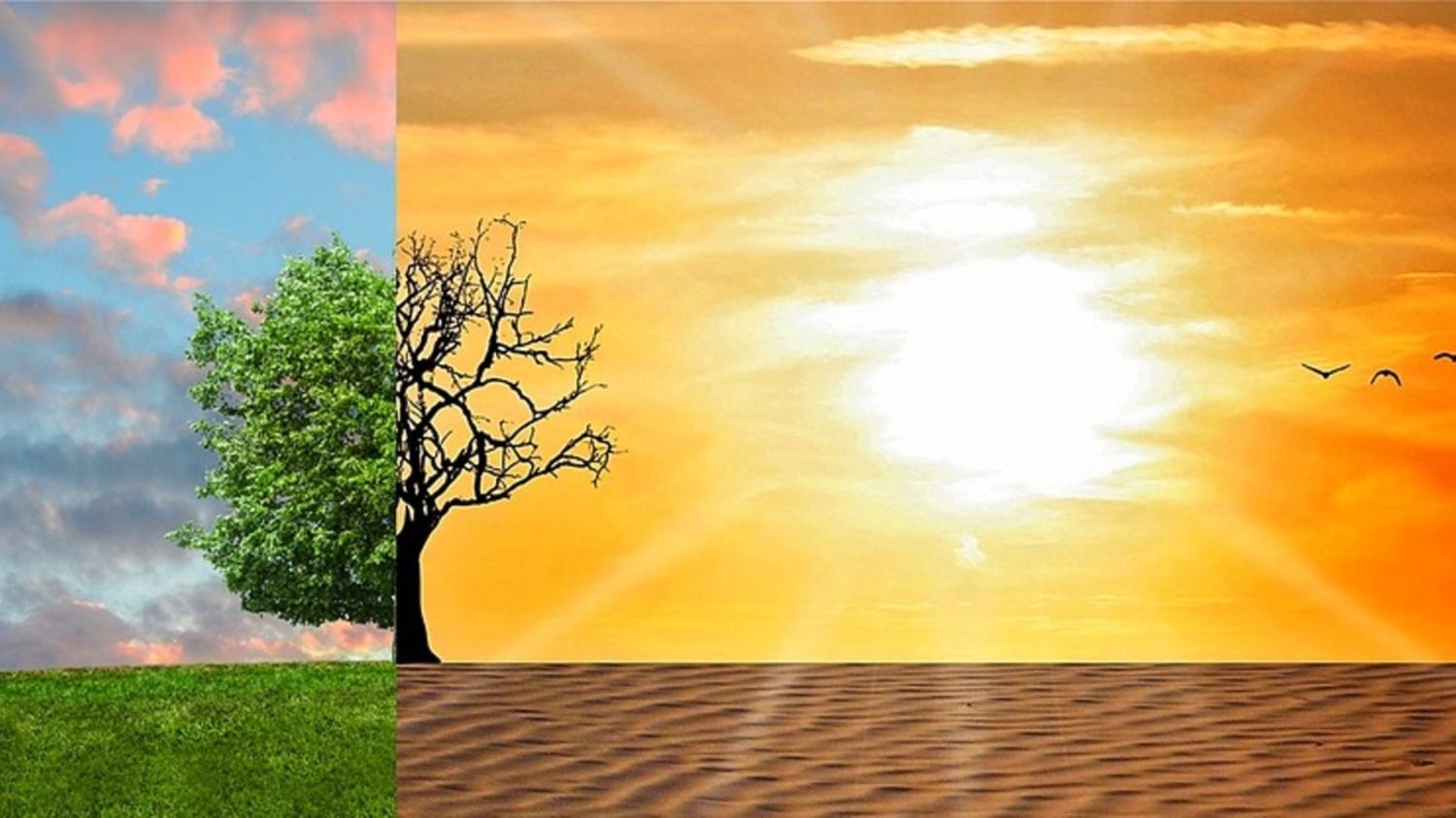 Cambio climático: 6 desafíos globales para un futuro sostenible 3 Merca2.es ¿Qué deben hacer los gobiernos para abordar la crisis climática?