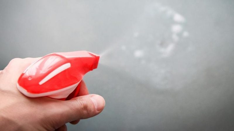 ¿Cuál fue el producto que venció a los demás?