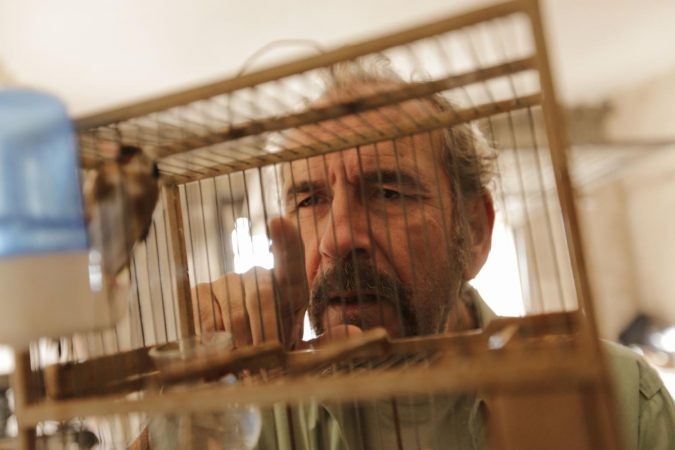 Guillermo Toledo en Romancero