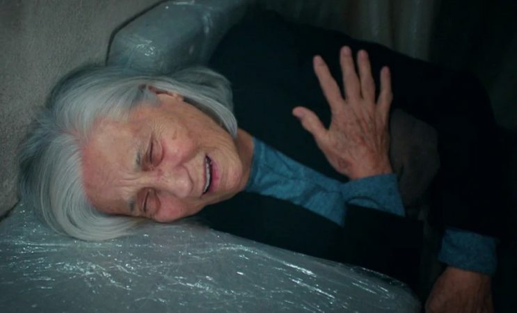 Hermanos Sevgi Merca2.es