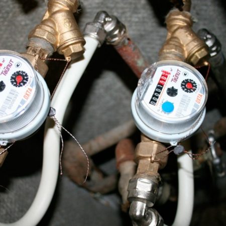 Vamos a tomar cartas en el asunto