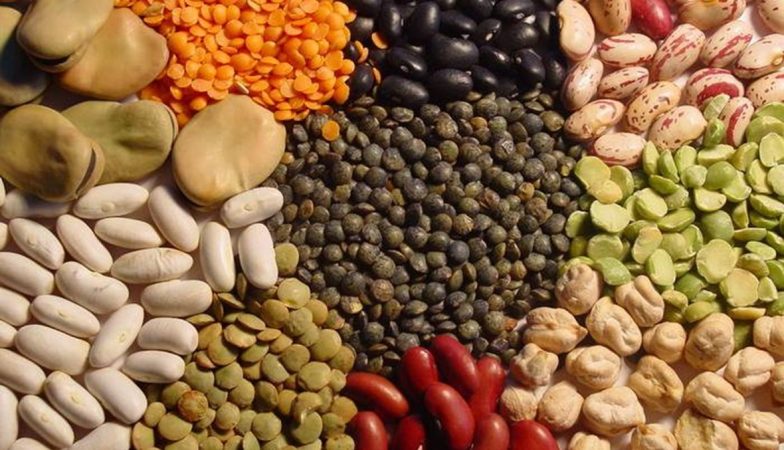 Legumbres y semillas 1 Merca2.es