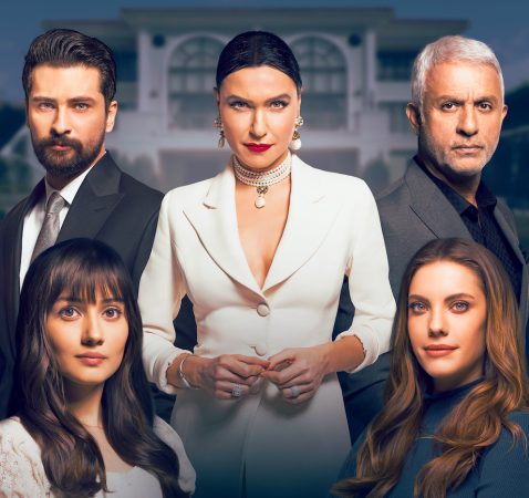 Reparto de Pecado Original