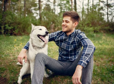 Todo lo que necesitas saber sobre el nuevo seguro obligatorio para tu perro Todo lo que necesitas saber sobre el nuevo seguro obligatorio para tu perro