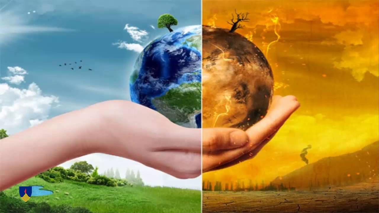 Biodiversidad en peligro: 6 claves para proteger y restaurar nuestro patrimonio natural 3 Merca2.es Uso de tecnologías verdes