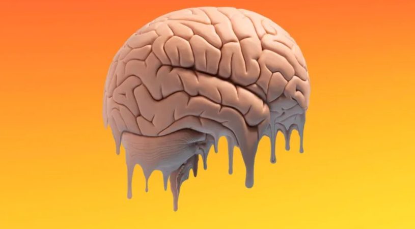 Toldos y parasoles exteriores