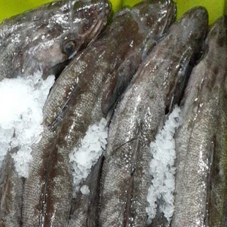 El aviso de la OCU sobre la merluza de supermercado: se te van a quitar las ganas de comprarla 35 Merca2.es ¿Te arriesgas o no?