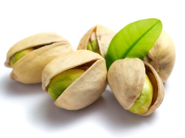 Un fruto seco común que no es nada común en su esencia