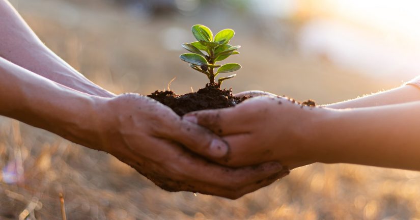 principios agricultura sostenible fao aepla redes Merca2.es