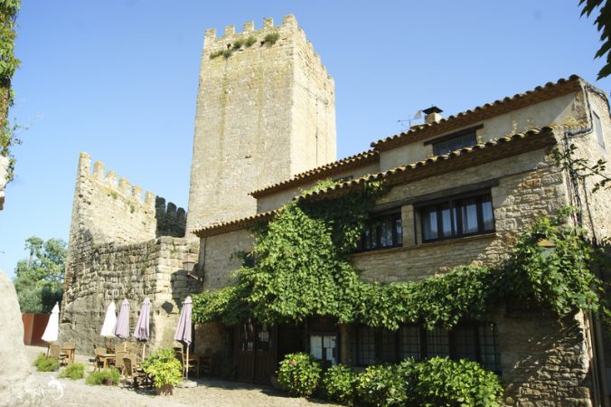 Sus características son únicas