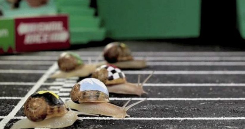 screenshot noticiascuriosas.com 2023.09.27 13 45 56 Merca2.es