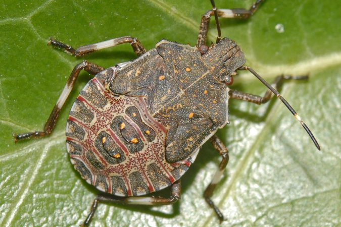 16963259790304 Merca2.es