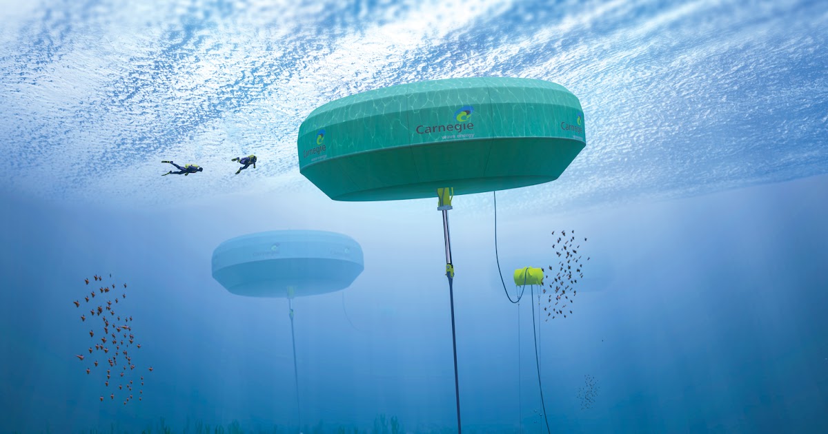 Océanos saludables: 7 formas de luchar contra la contaminación 2 Merca2.es Otras formas de conservar los océanos
