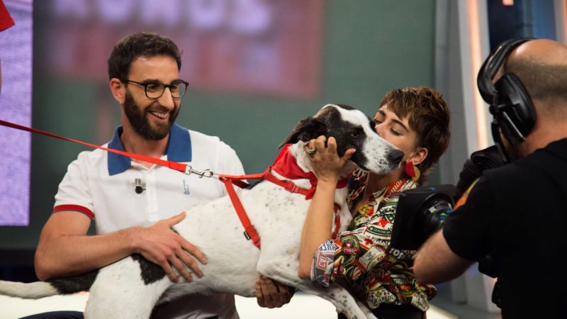 Dani Rovira llega a RTVE con un programa nuevo sobre mascotas 40 Merca2.es Dani Rovira y un perrito