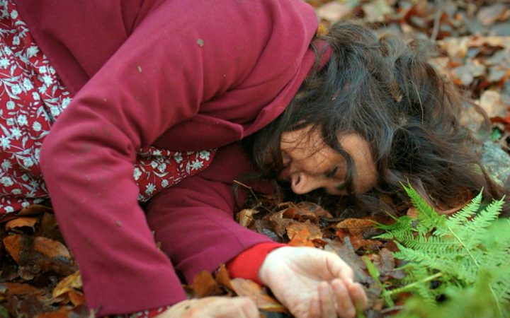 La caída de Şengül