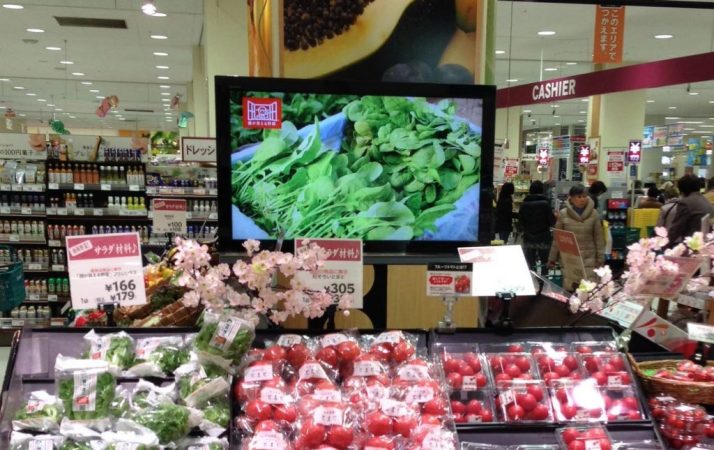 Los carritos no son normales en estos supermercados japoneses