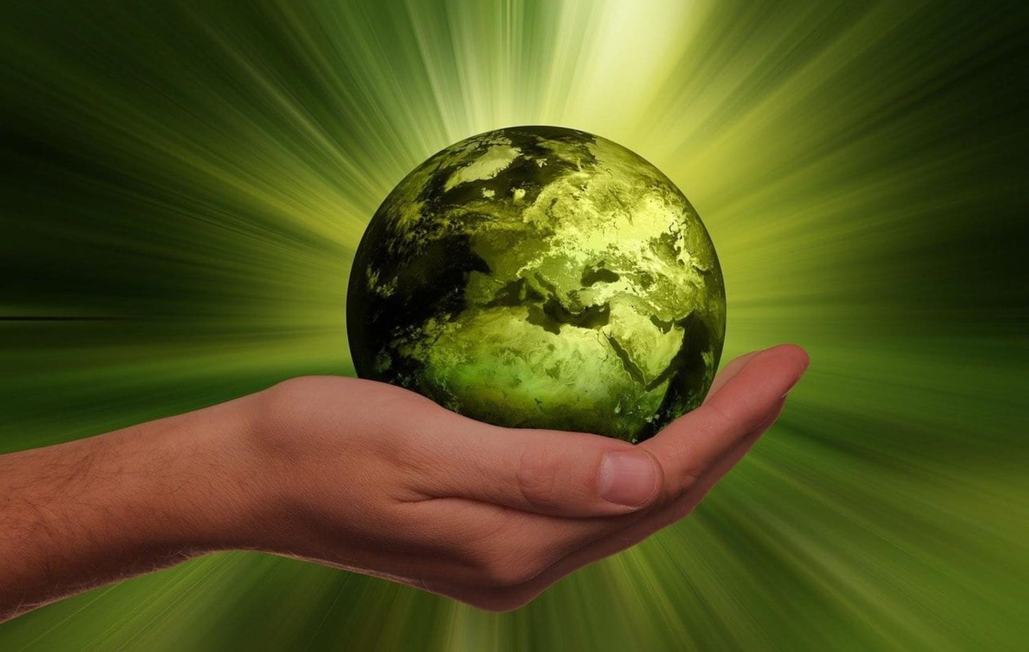 Recursos naturales: 6 claves para la nueva economía verde