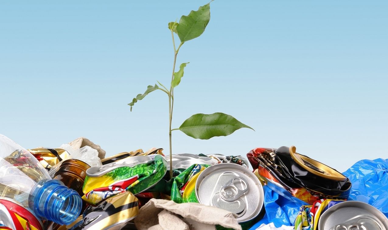 Residuos sólidos: 7 claves para una gestión eficiente y ecológica