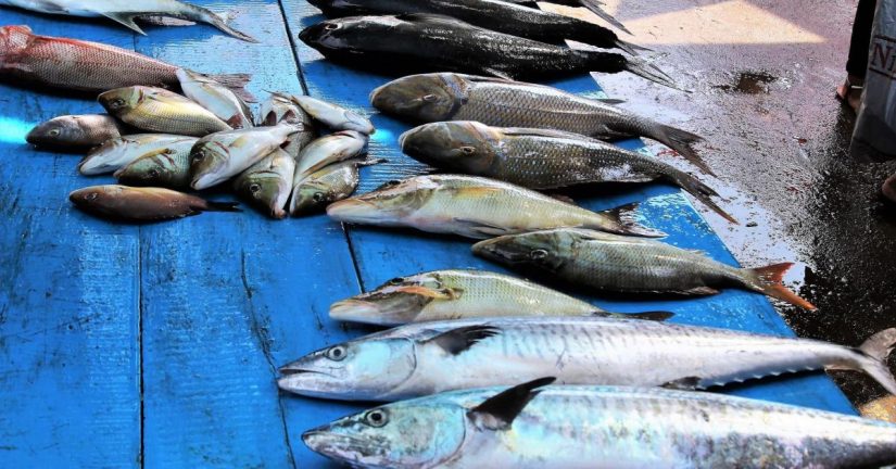 El triptófano no es lo único