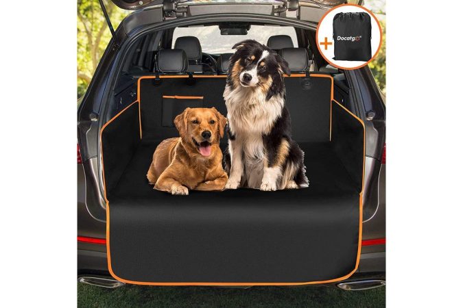 Es importante prestar atención sobre cómo transportar al perro en el coche