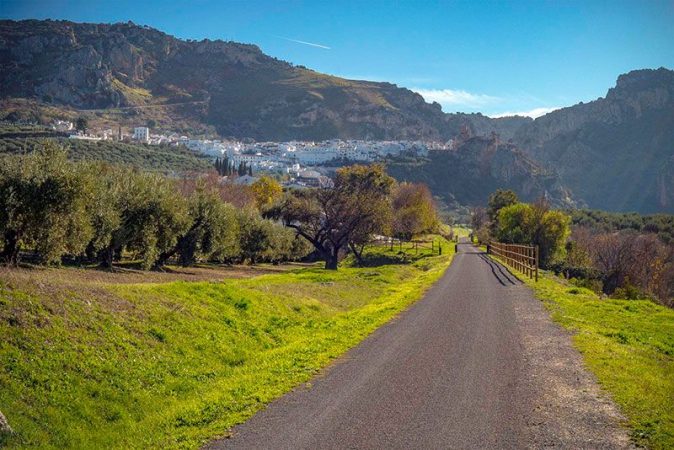 via aceite Merca2.es